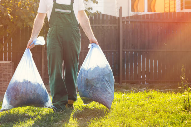 Best Electronics Removal Services  in Wellston, MO